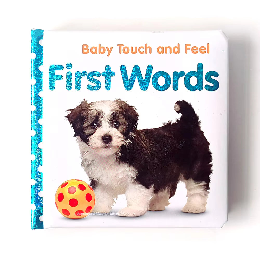 Baby Touch and Feel Original Books